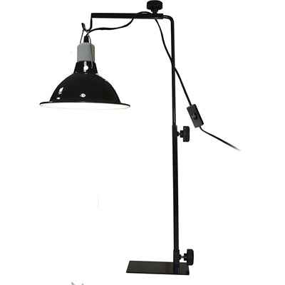 Komodo Licht Standard