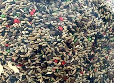 De Vries Seed