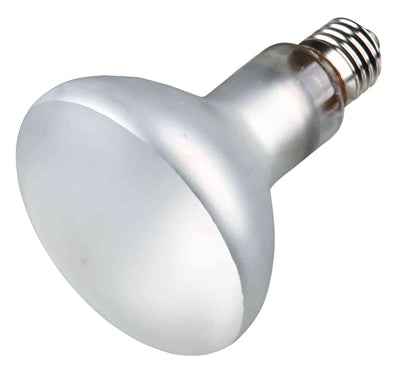 Trixie Reptiland Prosun Mixed D3 Uv-B Lampe Selbststartend