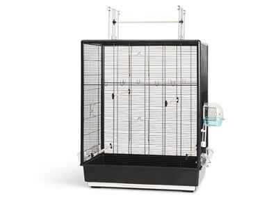 Savic Primo 60 Open Empire Schwarz