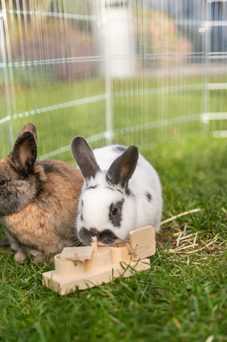 Trixie Für Ratten Und Kaninchen Aus Holz