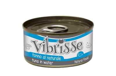 Vibrisse Katze Tony
