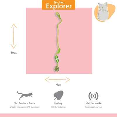 Happy Pet Tabby Patch Erbse Bungee