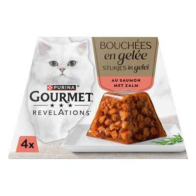 Gourmet Enthüllungen Lachs In Gelee