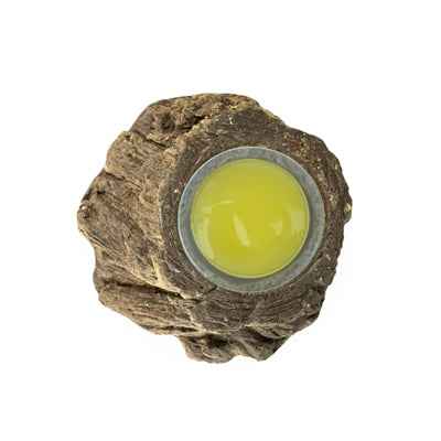 Back Zoo Nature Fruchtbecherhalter Rinden-Look Sortiert