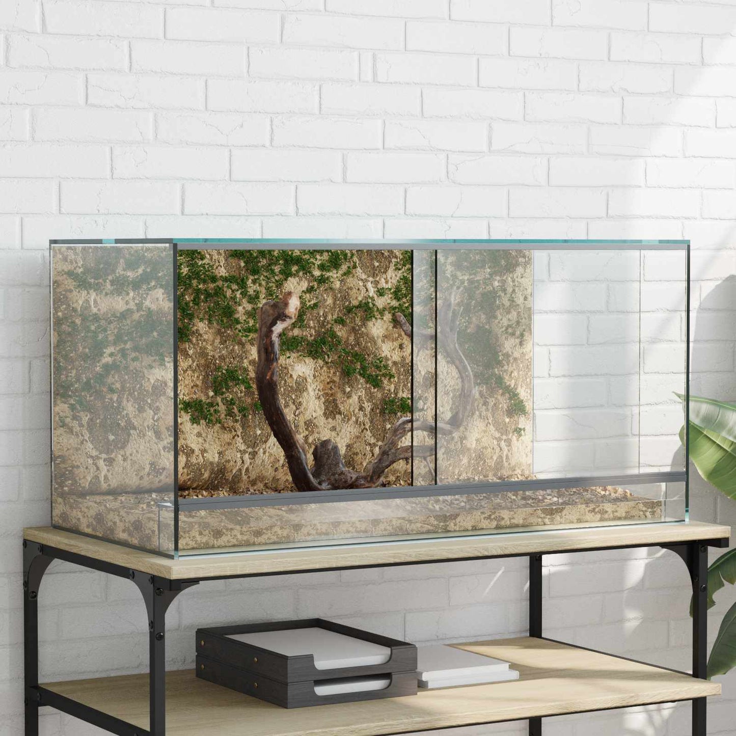 Terrarium Mit Speicher Transparent Glas