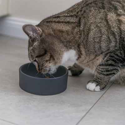 Trixie Fressnapf Katze Keramik Sortiert