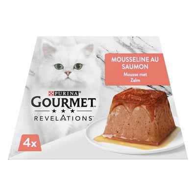 Gourmet Offenbarungen Mousse Mit Lachs
