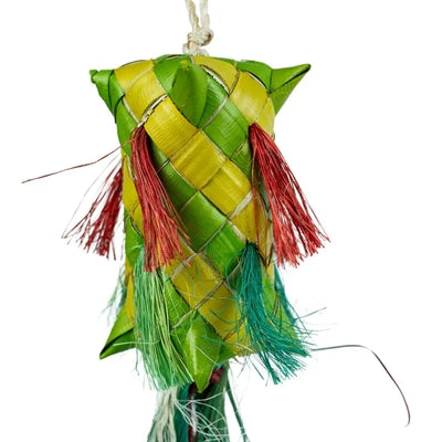 Back Zoo Nature Karnevals-Pinata