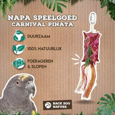 Back Zoo Nature Karnevals-Pinata