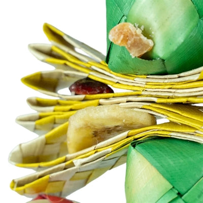 Back Zoo Nature Palmleaf-Turm