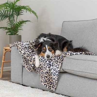 Trixie Hundedecke Leo Soft Plüsch Panther Print Creme