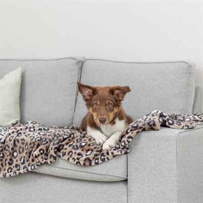 Trixie Hundedecke Leo Soft Plüsch Panther Print Braun