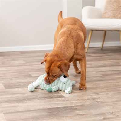 Trixie Hund Mit Streifen Plüsch Grün