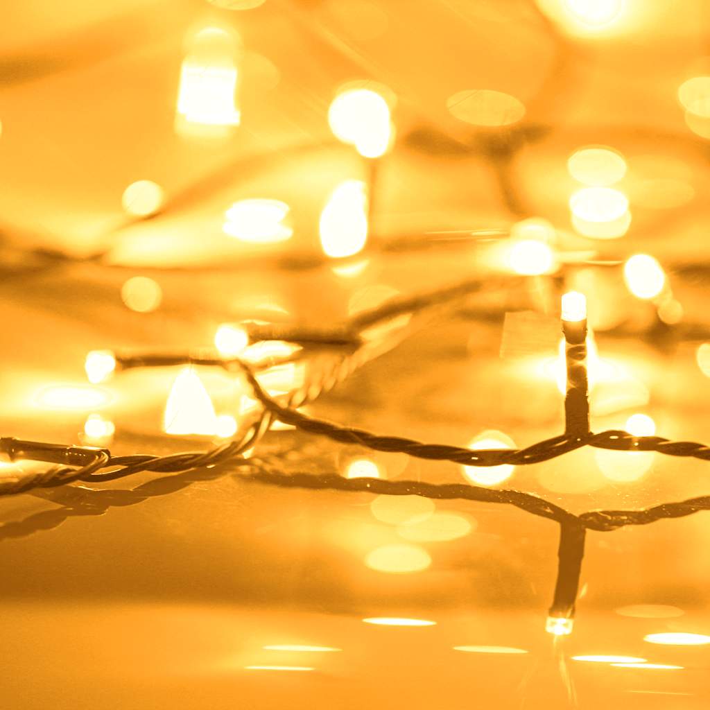 Weihnachtsbaum-Lichternetz Mit 150 Leds Warmweiß