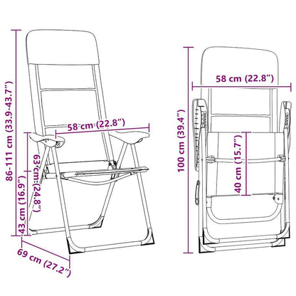 Campingstuhl 2 Stk. 58 X 69 X 111 Cm Aluminium