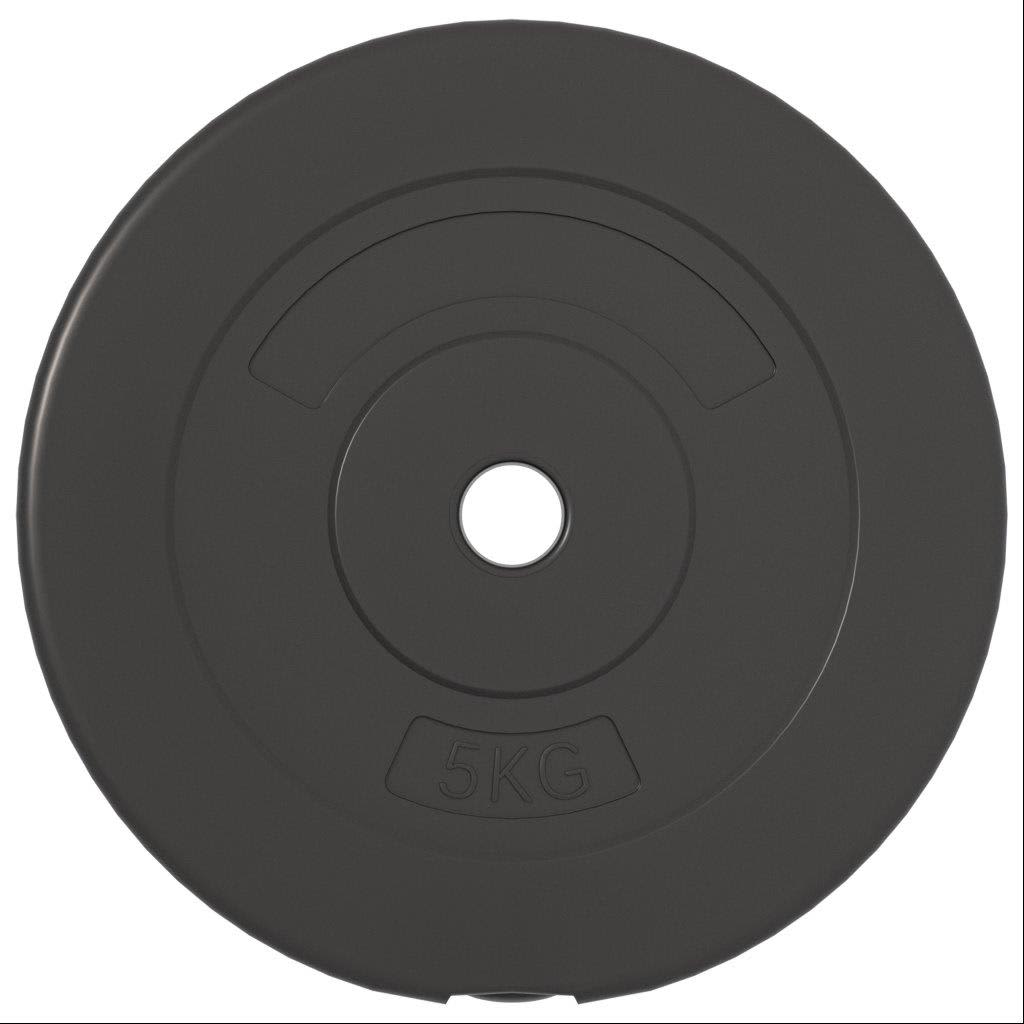 Hantelscheiben 6 Stk. 30 Kg Zement