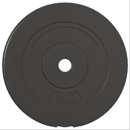 Hantelscheiben 6 Stk. 30 Kg Zement