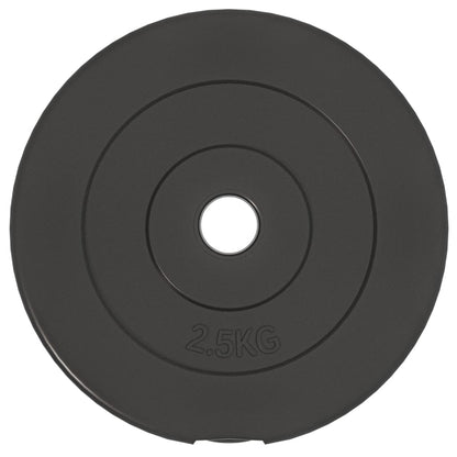 Hantelscheiben 6 Stk. 30 Kg Zement