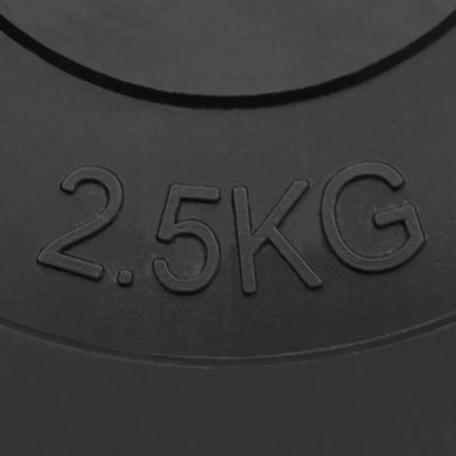 Hantelscheiben 6 Stk. 30 Kg Zement
