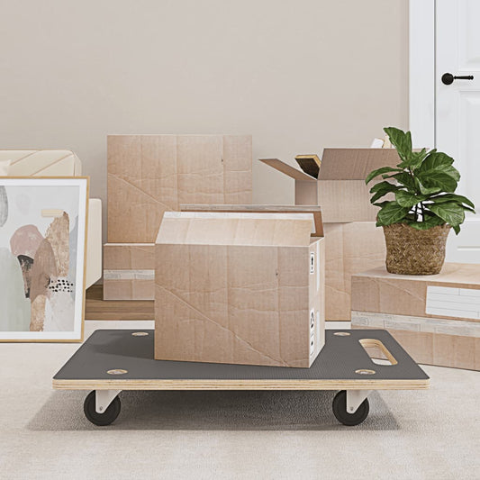 Transportroller 2 Stk. Rechteckig 80X55X11,5 Cm 250 Kg