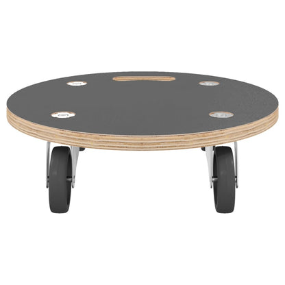 Transportroller 2 Stk. Rund Ø38X11,5 Cm 250 Kg