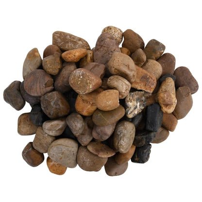 Polierte Kiesel 25 Kg Mehrfarbig 2-5 Cm