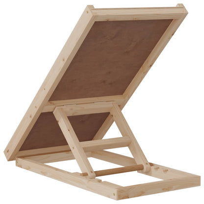 Hunderampe Massivholz Tanne