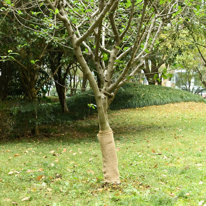 Jutegewebe 0,25X10 M 100% Jute 200 G/M²