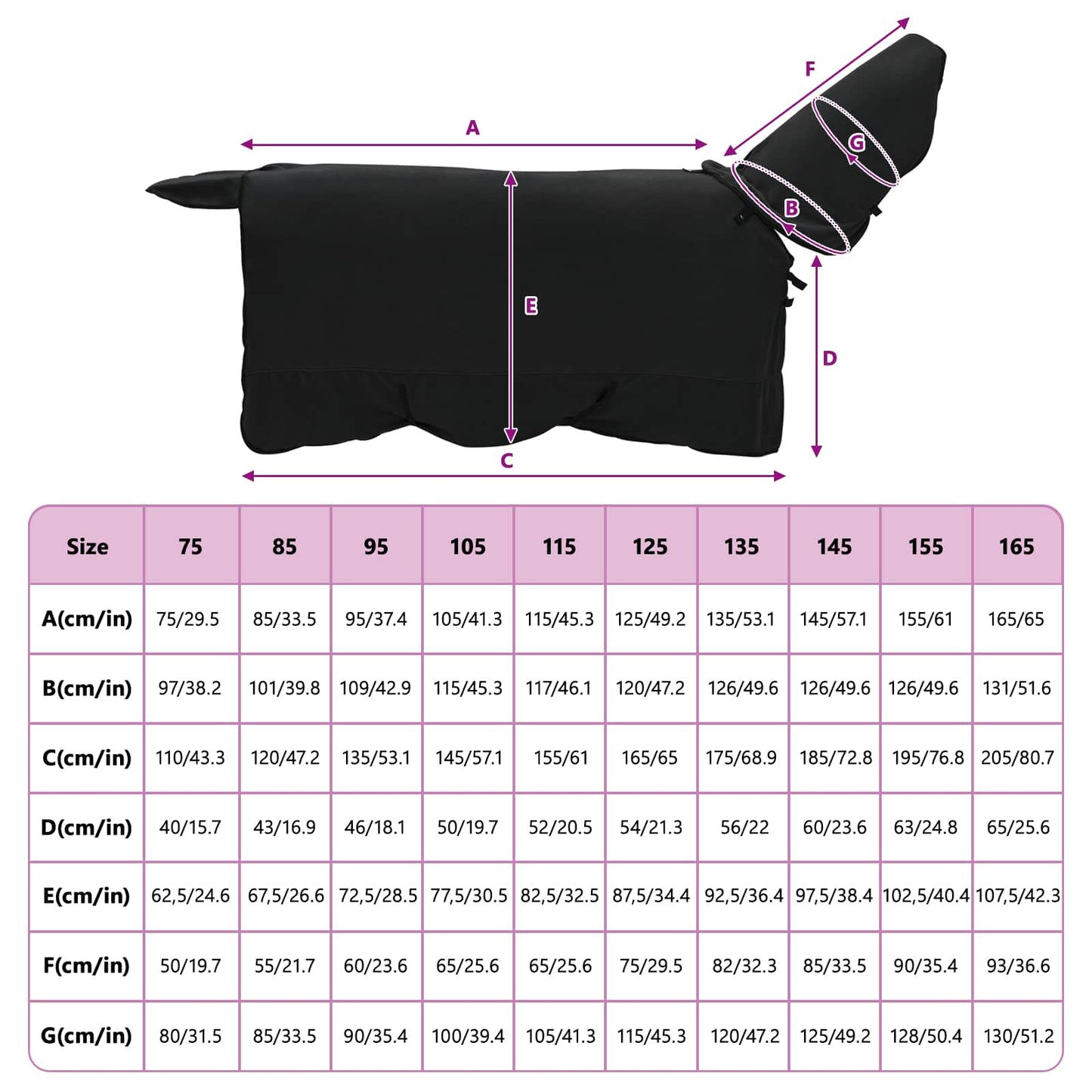Pferdedecke Polyester Schwarz