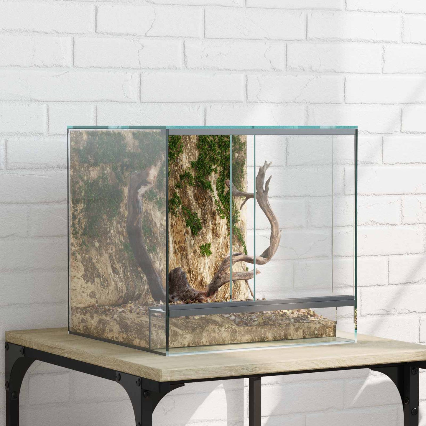 Terrarium Mit Speicher Transparent Glas