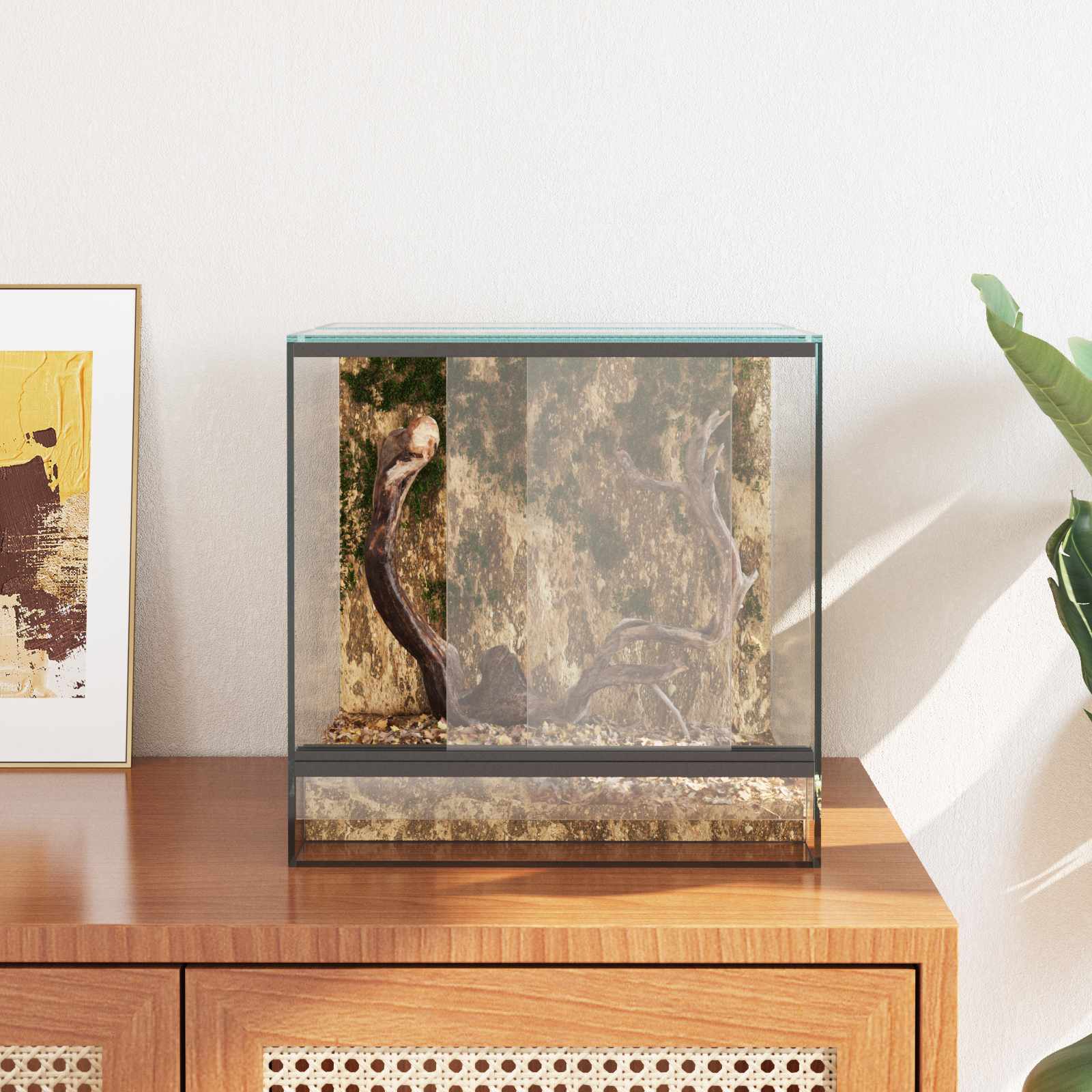 Terrarium Mit Speicher Transparent Glas