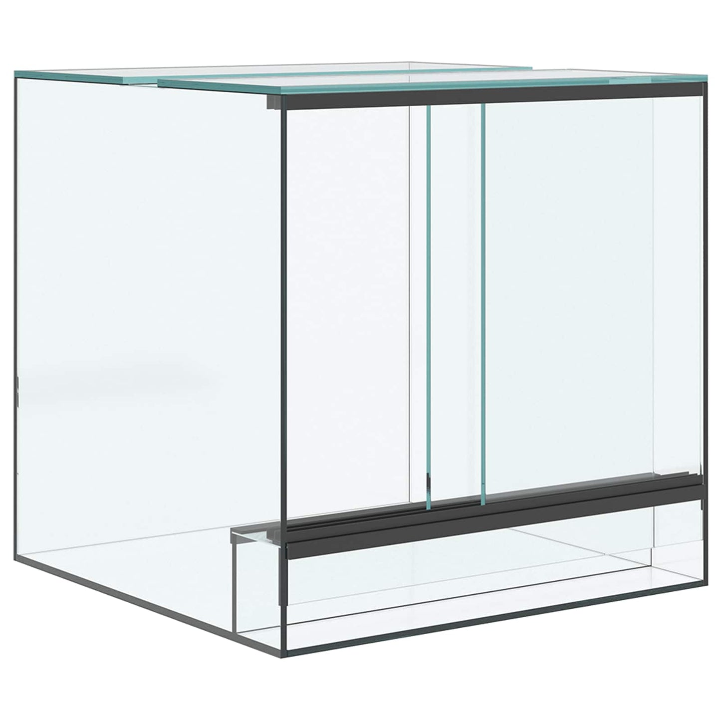 Terrarium Mit Speicher Transparent Glas