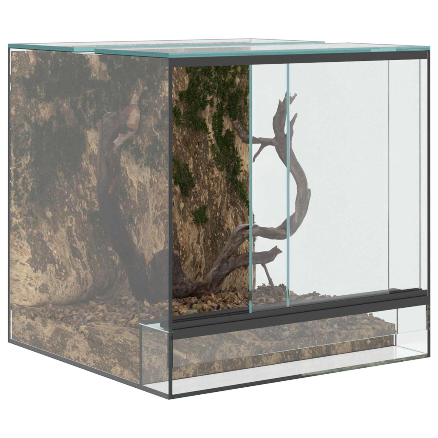 Terrarium Mit Speicher Transparent Glas