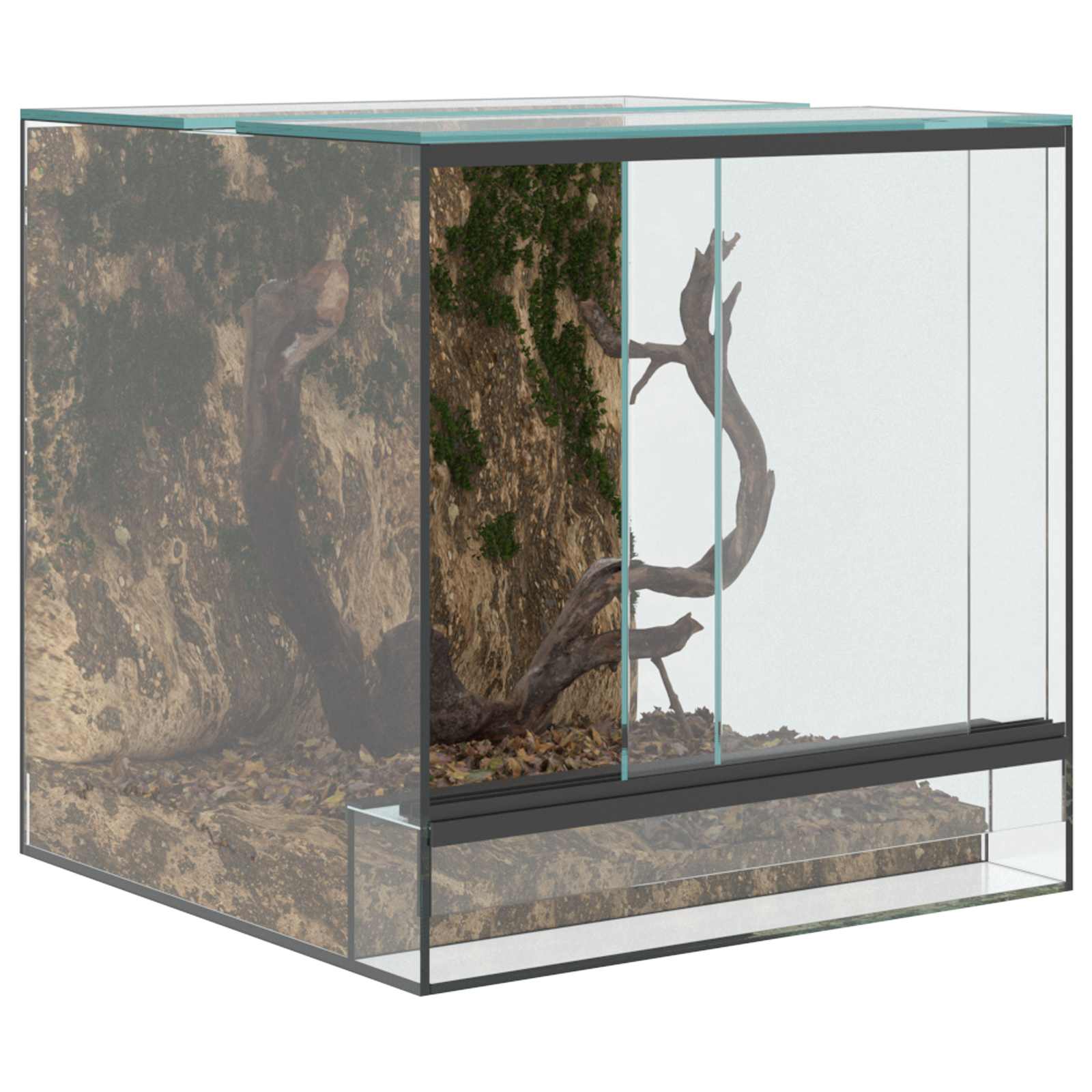 Terrarium Mit Speicher Transparent Glas