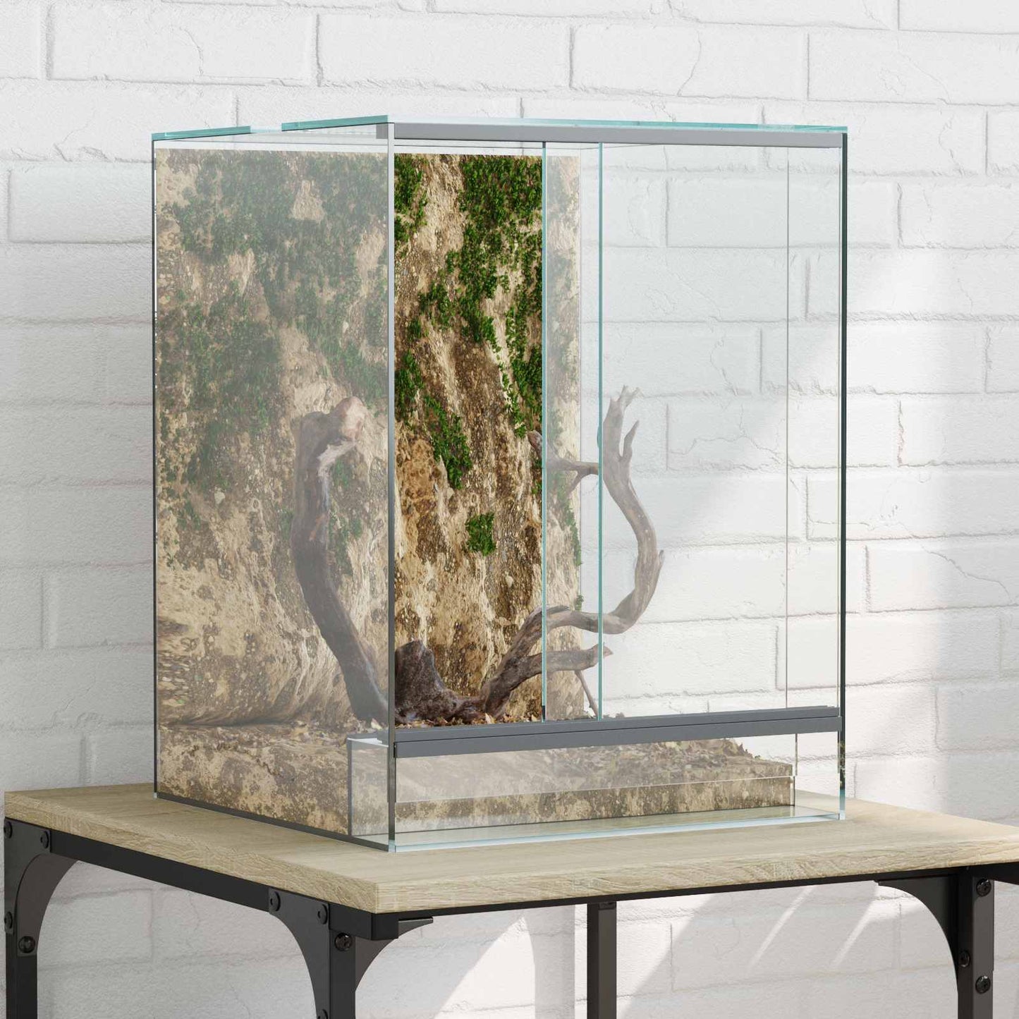 Terrarium Mit Speicher Transparent Glas