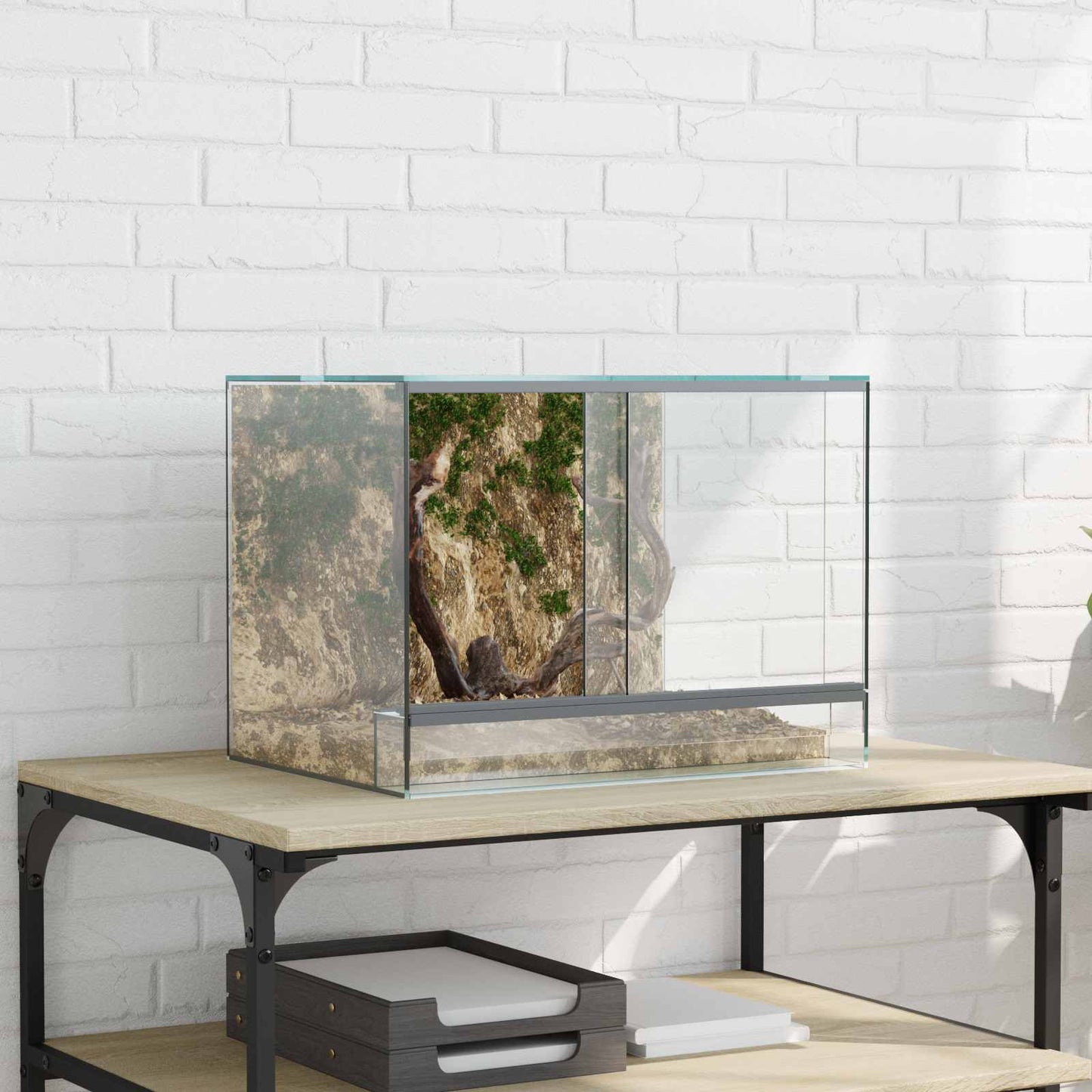 Terrarium Mit Speicher Transparent Glas