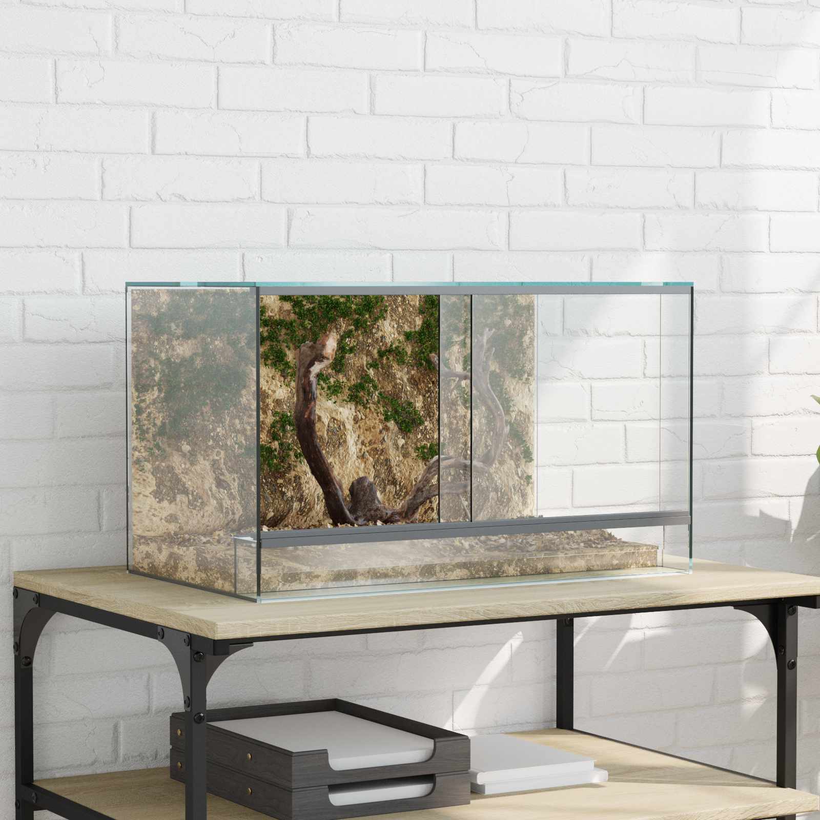 Terrarium Mit Speicher Transparent Glas