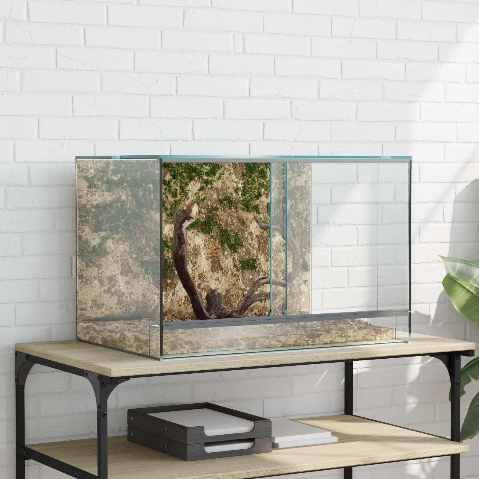 Terrarium Mit Speicher Transparent Glas